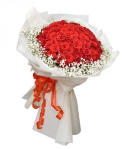 Tình Yêu Mãnh Liệt HB-05