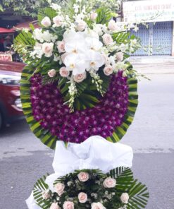 HAI THẾ GIỚI CB-03