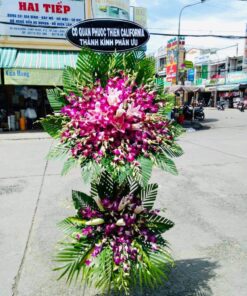 Tiếc Thương Vô Cùng CB-17