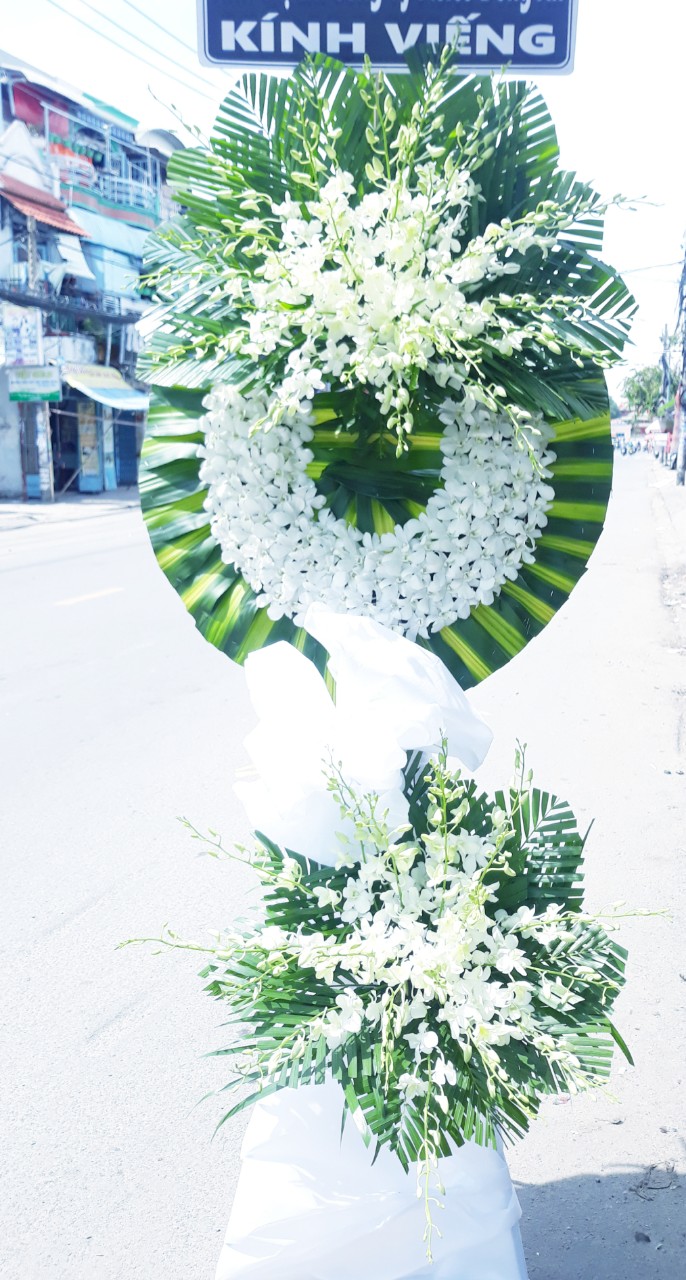 z2746498473172_78308f0ce1e16c249101ea5d5e152bbd