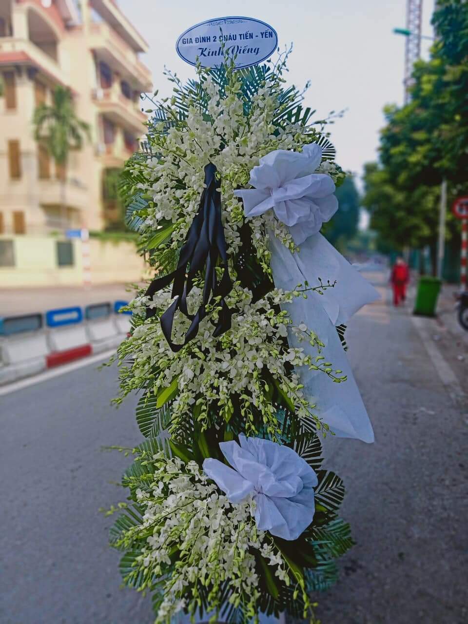 z2746498502699_d5e8fb6ce41e705778ec2f3bff9fd116