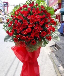 Hoa Khai TRương KT-13