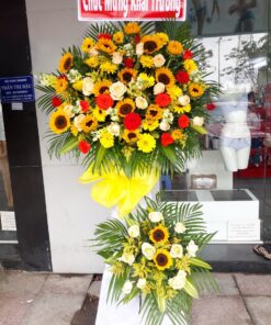 Hoa Khai Trương KT-27