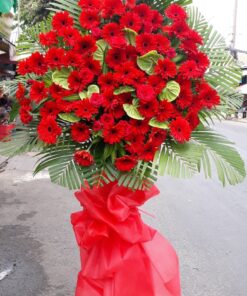 Hoa Khai Trương KT-34