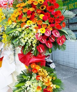 Hoa Khai Trương KT-35