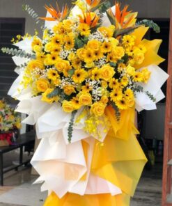 Hoa Khai Trương KT-36