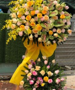 Hoa Khai Trương KT-40