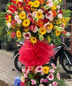 Hoa Khai Trương KT-41