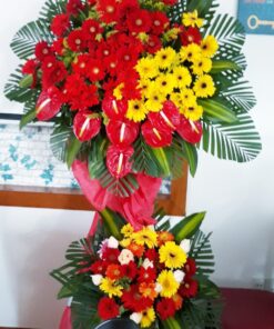 Hoa Khai Trương KT-43