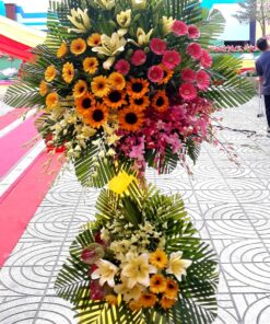 Hoa Khai Trương KT-49