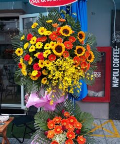 Hoa Khai Trương KT-51