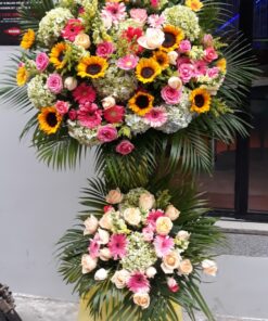 Hoa Khai Trương KT-54