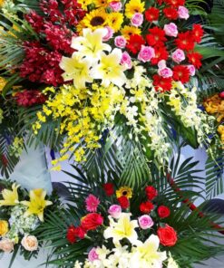 Hoa Khai Trương KT-55