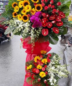 Hoa Khai Trương KT-57