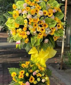 Hoa Khai Trương KT-59