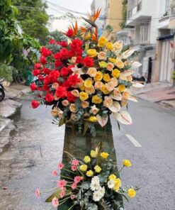 Hoa Khai Trương KT-62