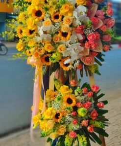 Hoa Khai Trương KT-64