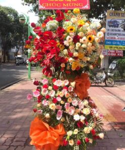 Hoa Khai Trương KT-65