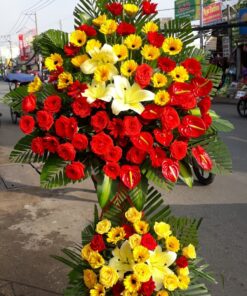 Hoa Khai Trương KT-70