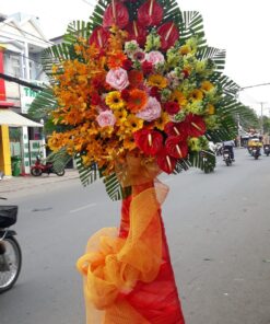 Hoa Khai Trương KT-72