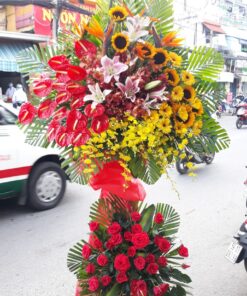 Hoa Khai Trương KT-80