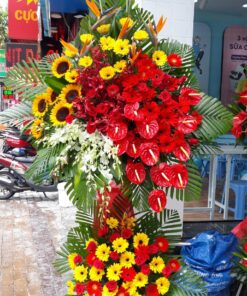 Hoa Khai Trương KT-81