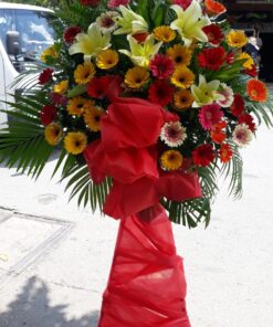 Hoa Khai Trương KT-92