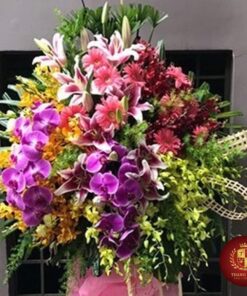 Hoa Khai Trương KT-94