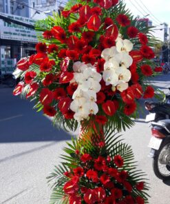 Hoa Khai Trương KT-95