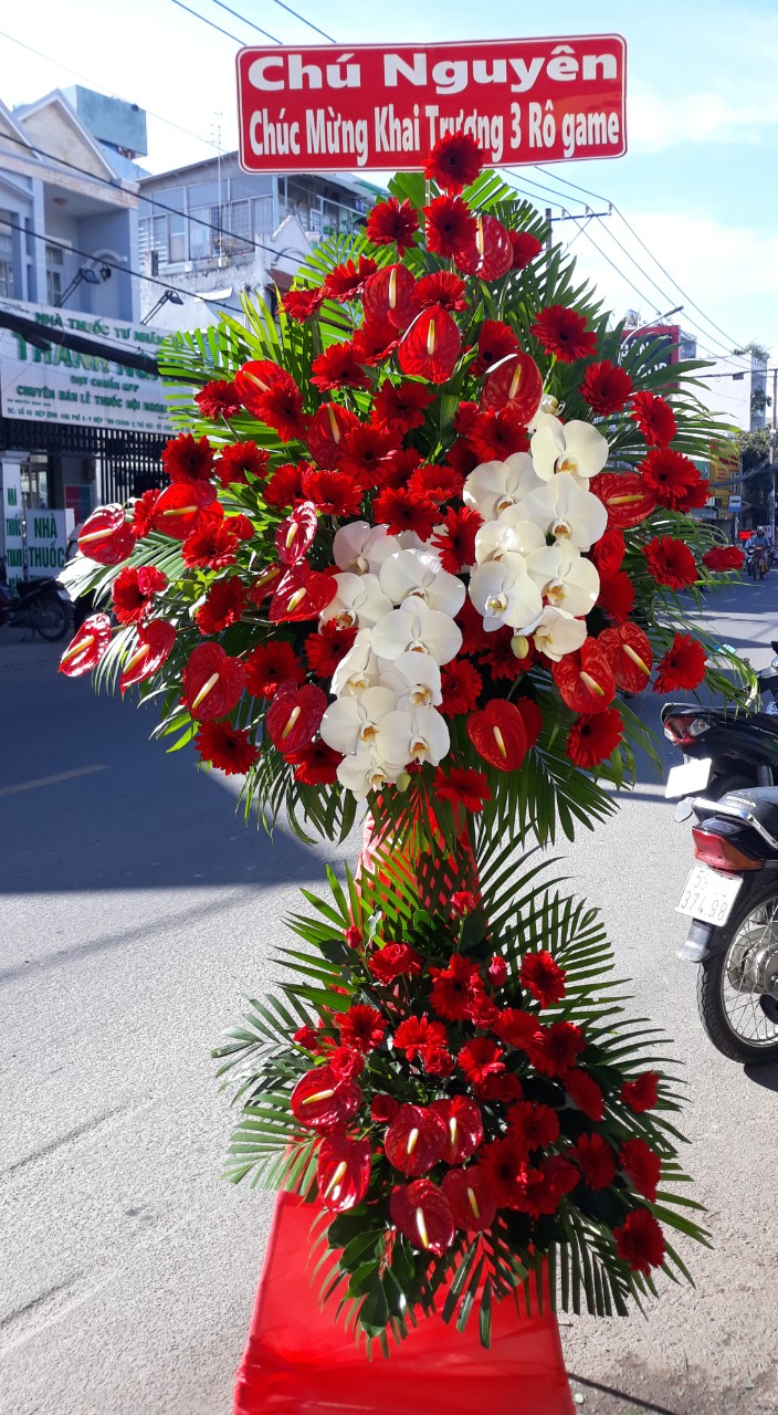 Hoa Khai Trương KT-95