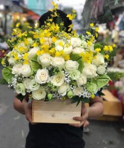 Trắng Tinh Khôi GH-33