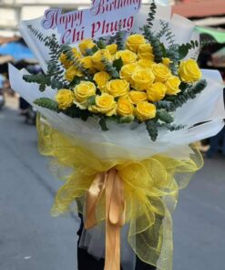 Dịu Dàng Màu Nắng HB-14