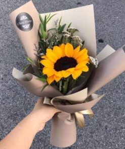 Một Mặt Trời HB-19