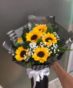 Niềm Hạnh Phúc HB-38