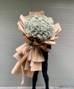 Trong Vòng Tay Anh HB-49