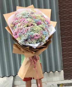 Baby Sắc Màu HB-54