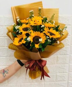 Bầu Trời Đầy Nắng HB-62