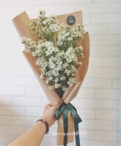 Thạch Thảo HB-66