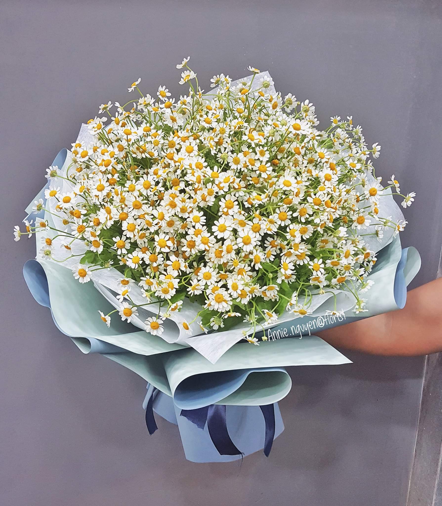 z2761717419368_f016ba49de753ba1702f14c02c8c8e8b