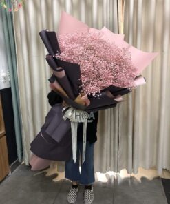 Ánh Sao Đêm HB-74