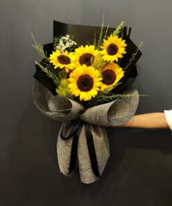 Thương Tình HB-78