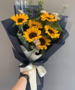 Thương Thầm HB-79