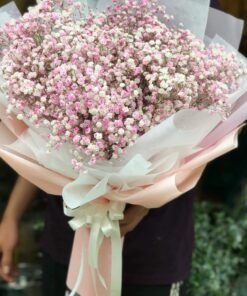 Lời Thì Thầm HB-81