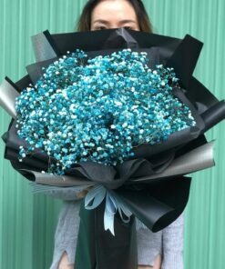 Ngàn Sao Đêm HB-86