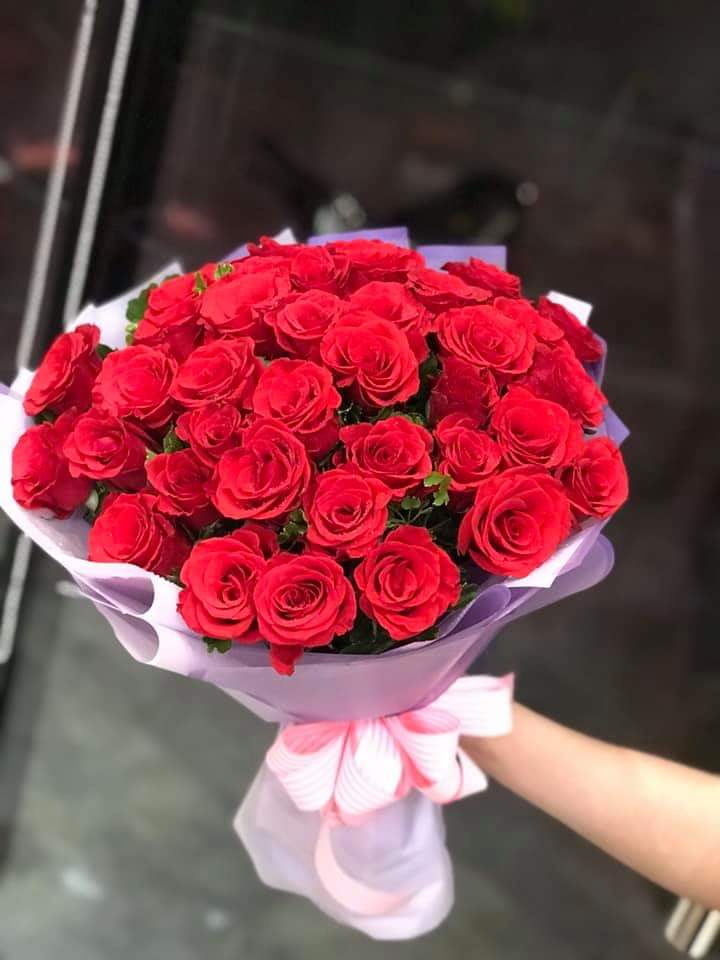 ĐẶC ĐIỂM VÀ NGUỒN GỐC CỦA HOA SÁP