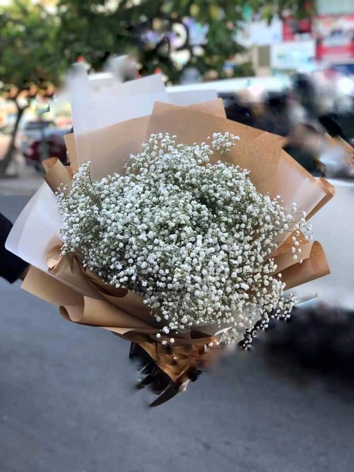 Bình Minh Trên Biển HB-92