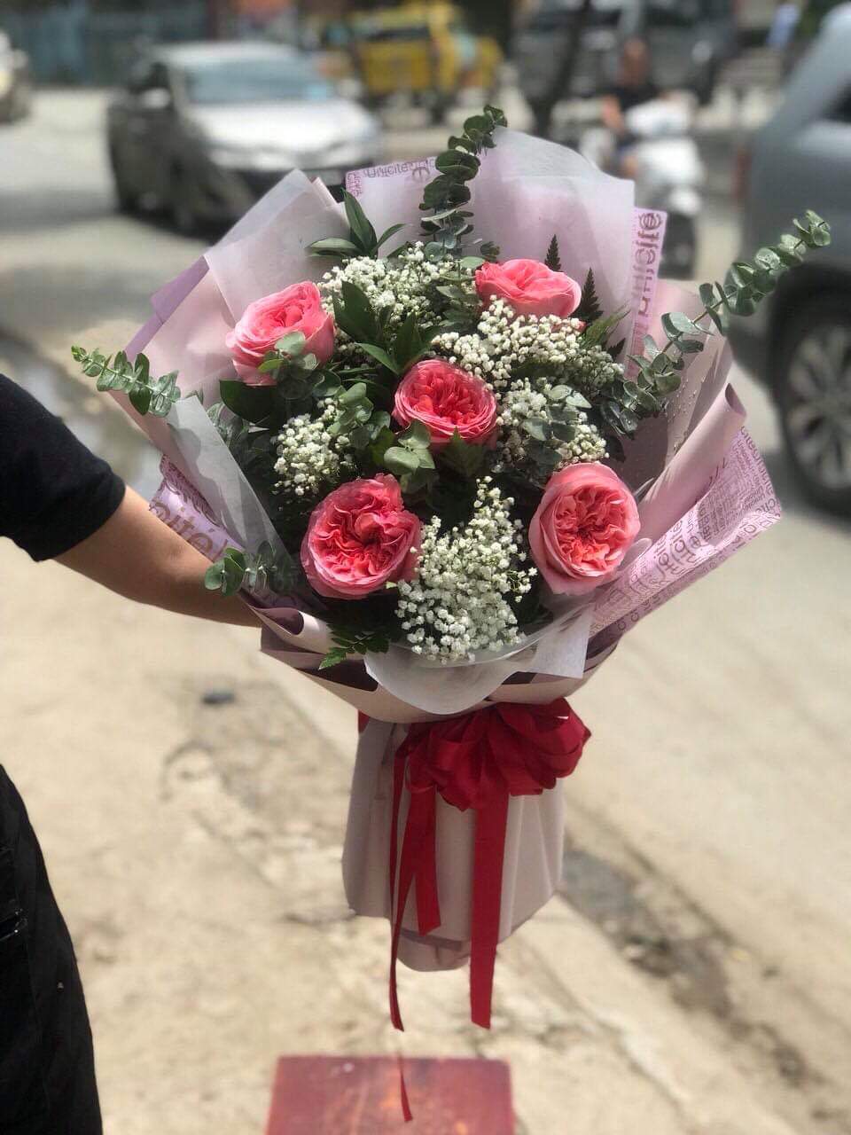 ĐẶC ĐIỂM VÀ NGUỒN GỐC CỦA HOA SÁP