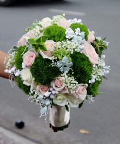 Thương Nhớ HC-14