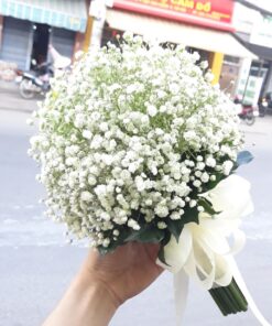 Sánh Đôi Bên Nhau HC-24