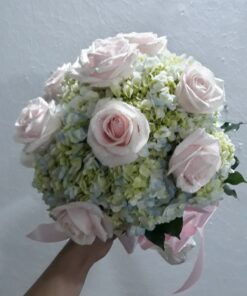 Nắm Chặt Tay Em HC-26